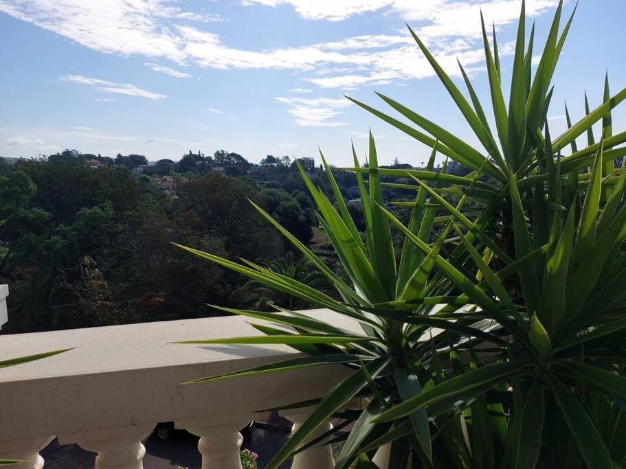 Belle Vue - Axelle Loc'appart Apartment